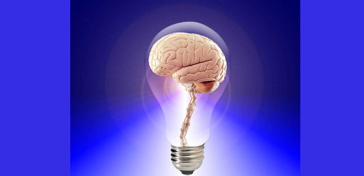 Read more about the article How to Increase IQ to 200: Is It Possible & How to Maximize Your Brain Power